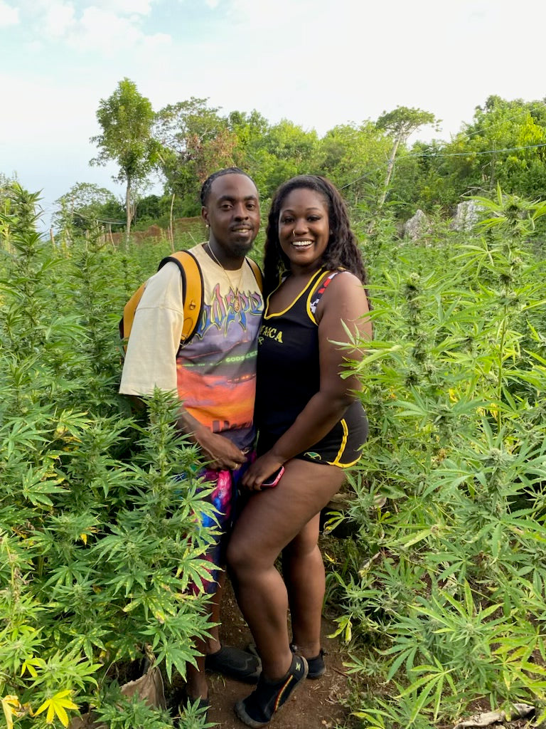 3-in-1 Bamboo Rafting + Limestone Foot Massage + Weed Farm 🍃 + Rick’s Café Experience. (Transportation MUST
be purchased if this is for a solo traveler as this is a multi-location excursion)..Free
Transportation provided ONLY
for groups of two or more.)