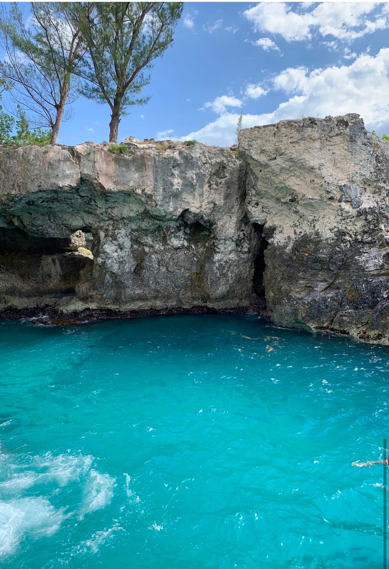 3-in-1 Bamboo Rafting + Limestone Foot Massage + Weed Farm 🍃 + Rick’s Café Experience. (Transportation MUST
be purchased if this is for a solo traveler as this is a multi-location excursion)..Free
Transportation provided ONLY
for groups of two or more.)